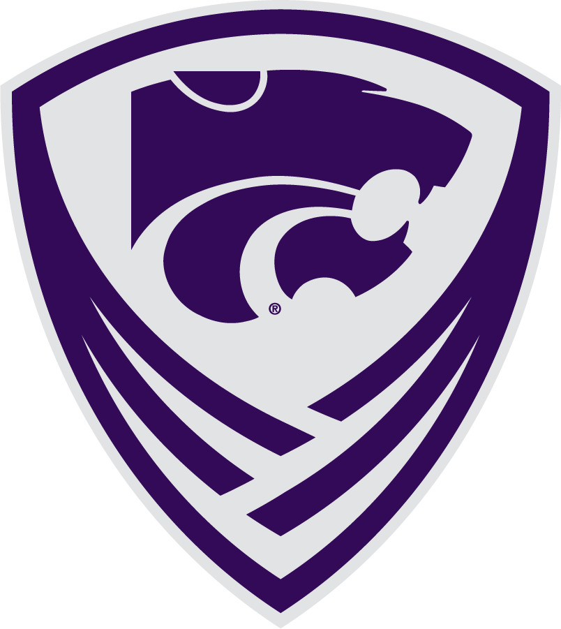 Kansas State Wildcats 2019-Pres Secondary Logo diy iron on heat transfer